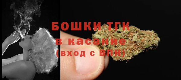 эйфоретик Арсеньев