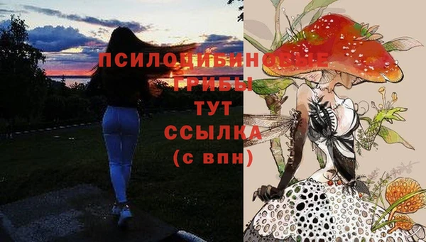 эйфоретик Арсеньев
