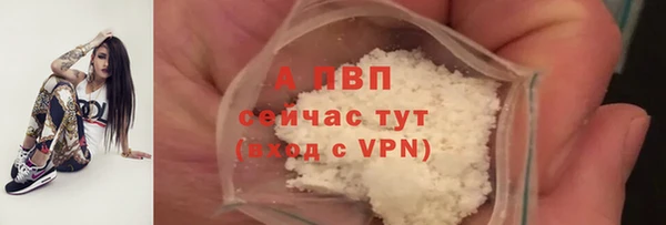 эйфоретик Арсеньев