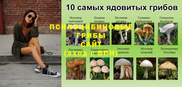 эйфоретик Арсеньев