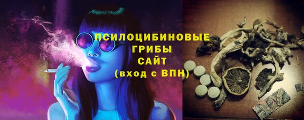 прущий лед Армянск